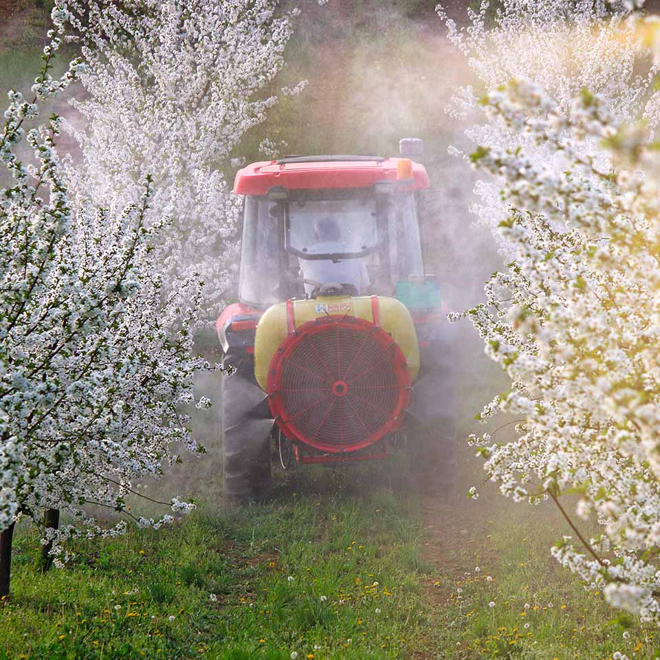 Etichette degli agrofarmaci: come leggerle correttamente