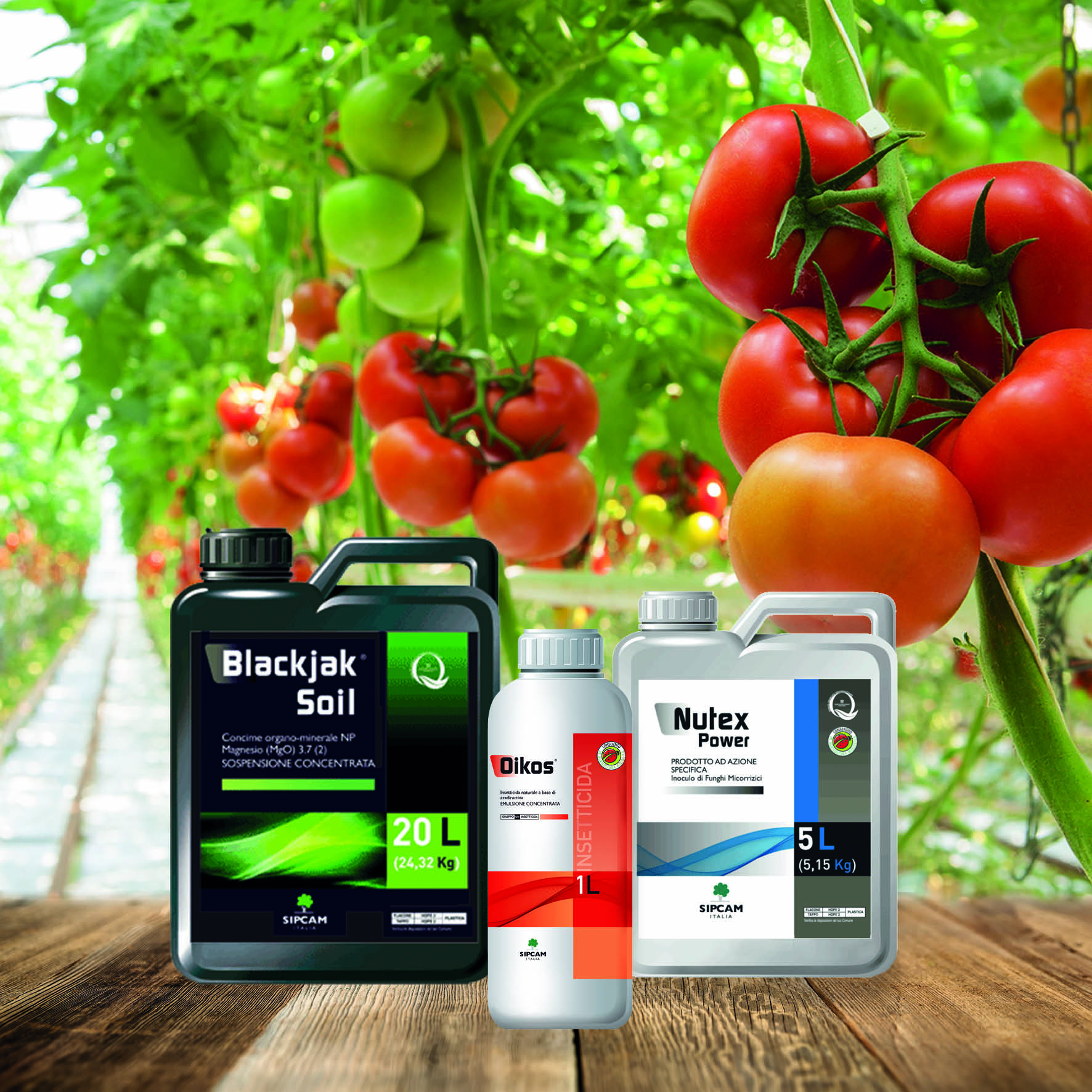 Oikos, Blackjak Soil e Nutex Power: efficacia ed equilibrio