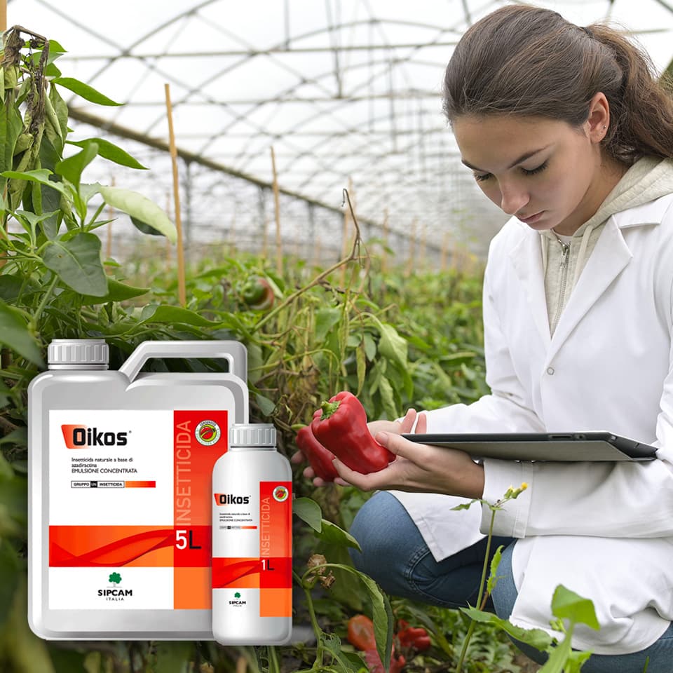 Oikos: tutta l’efficacia di una formulazione di qualità