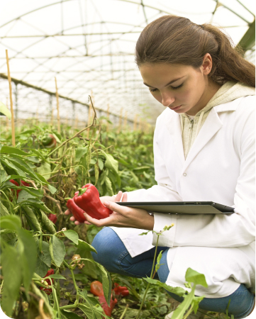 Inovamos, com discernimento