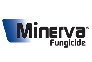 Belchim Crop Protection USA and Sipcam Agro USA Announce Partnership for Distribution of Minerva® Fungicide
