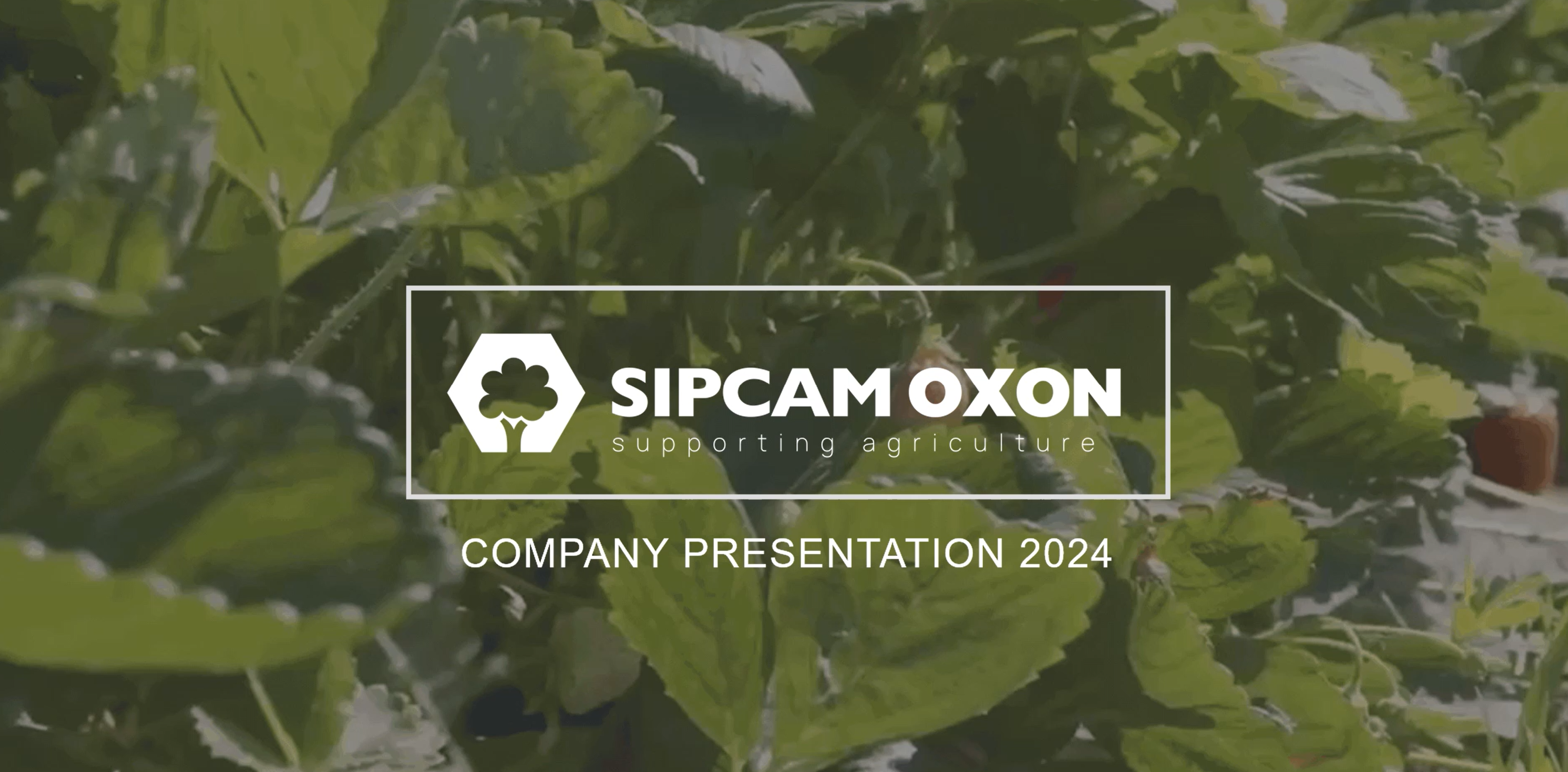 Profile Video: Sipcam Oxon