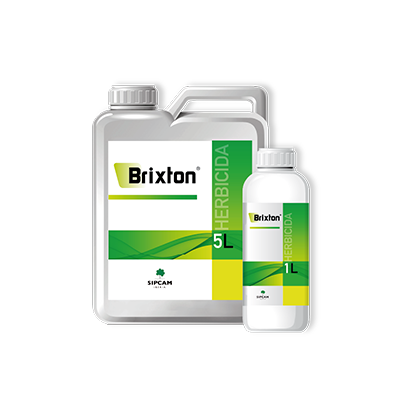 Brixton
