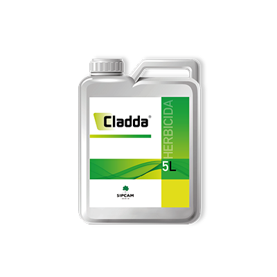 Cladda