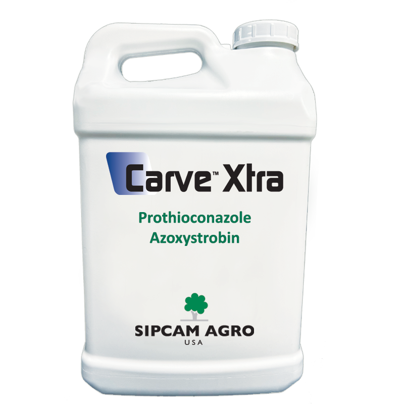 Sipcam Italia - Carve Xtra