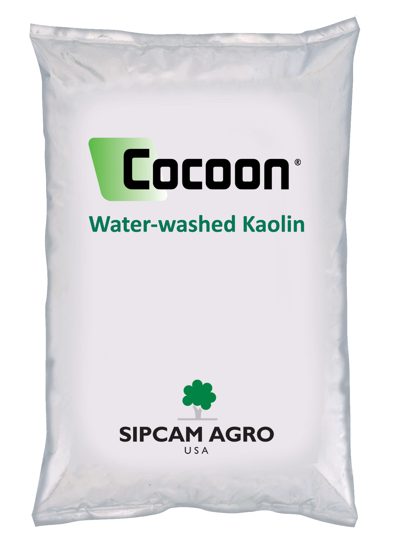 Cocoon