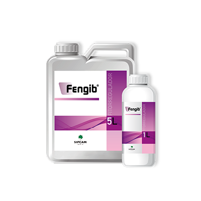 Fengib