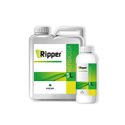 Ripper