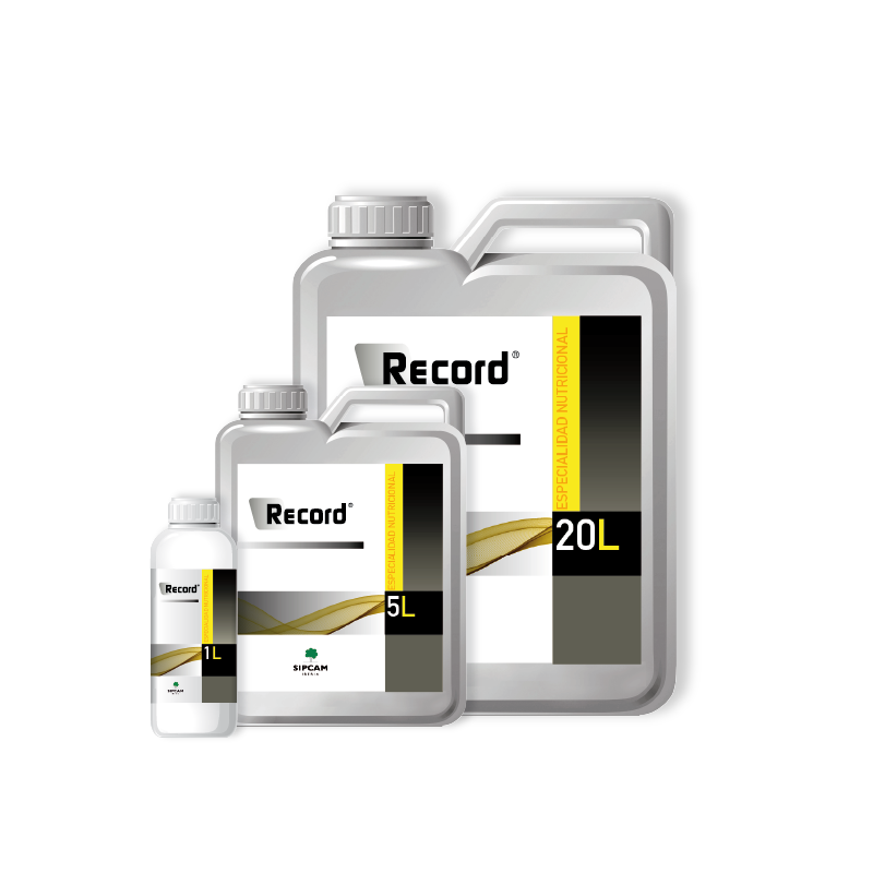 RECORD - Sipcam Iberia