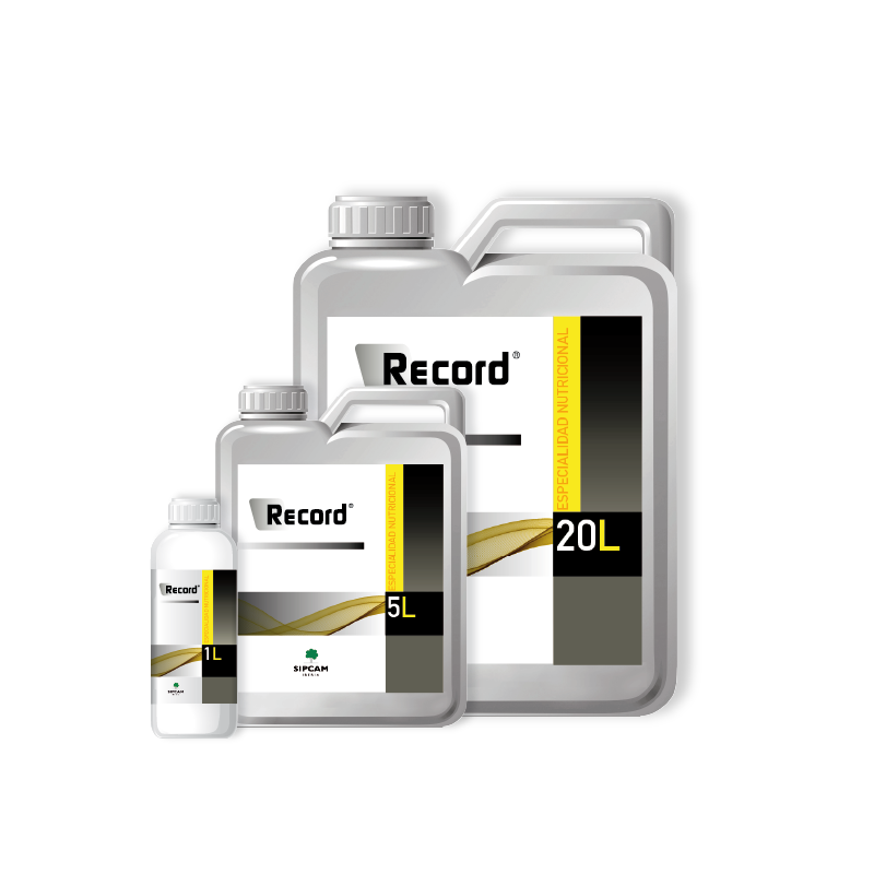 RECORD- Sipcam Iberia 