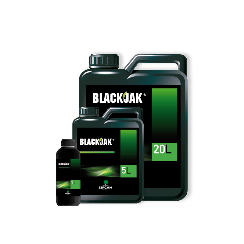 BLACKJAK- Sipcam Iberia 