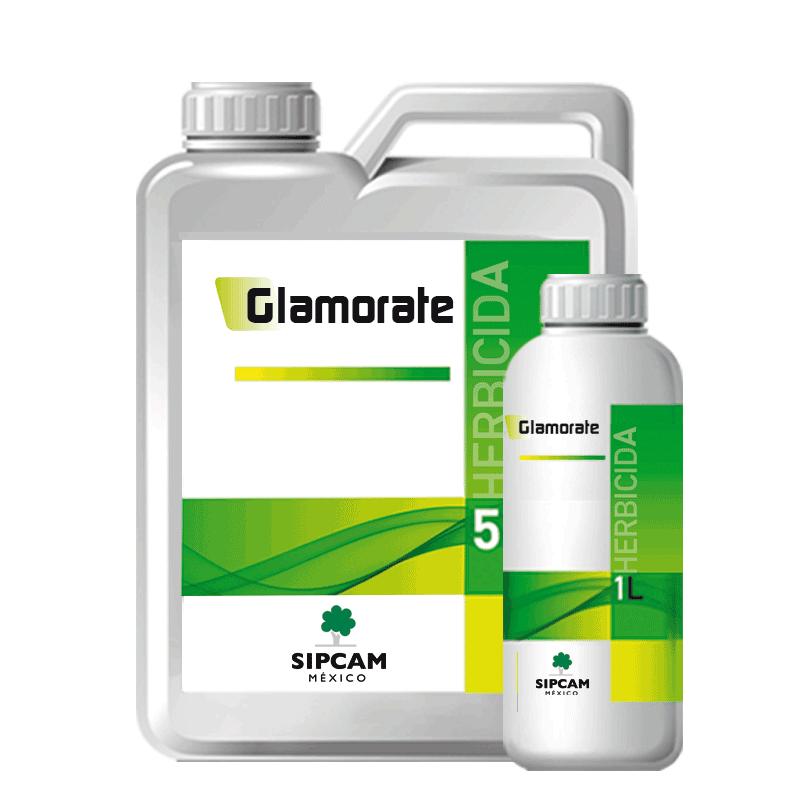 Glamorate- Sipcam MX 
