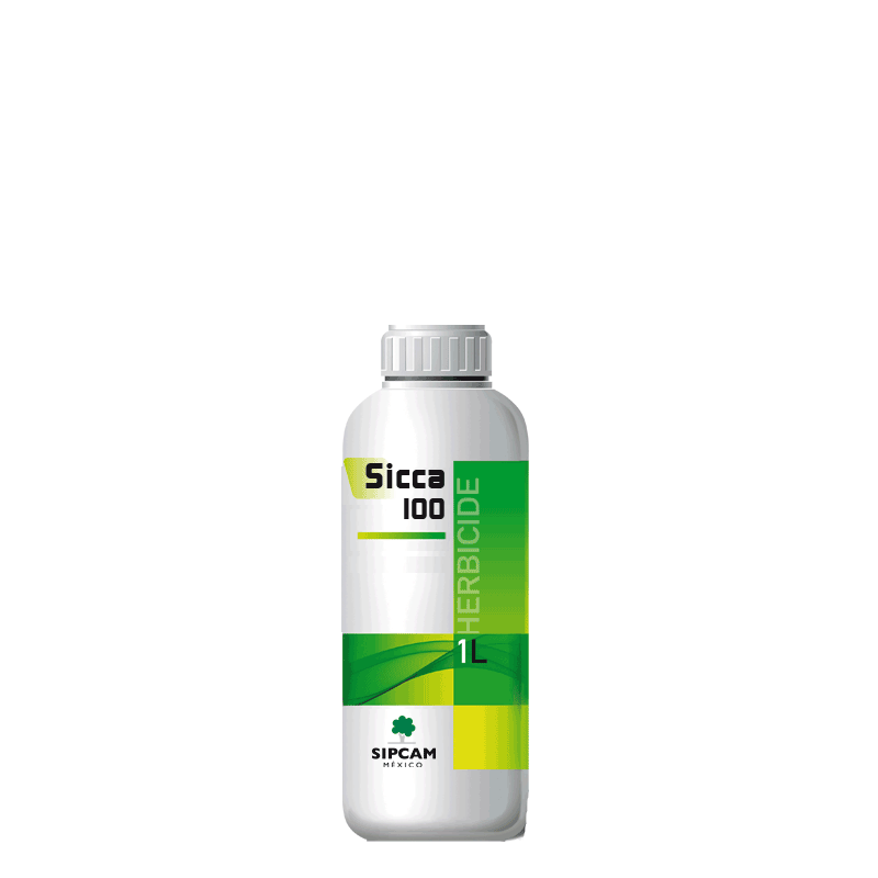 Sicca 100- Sipcam MX 