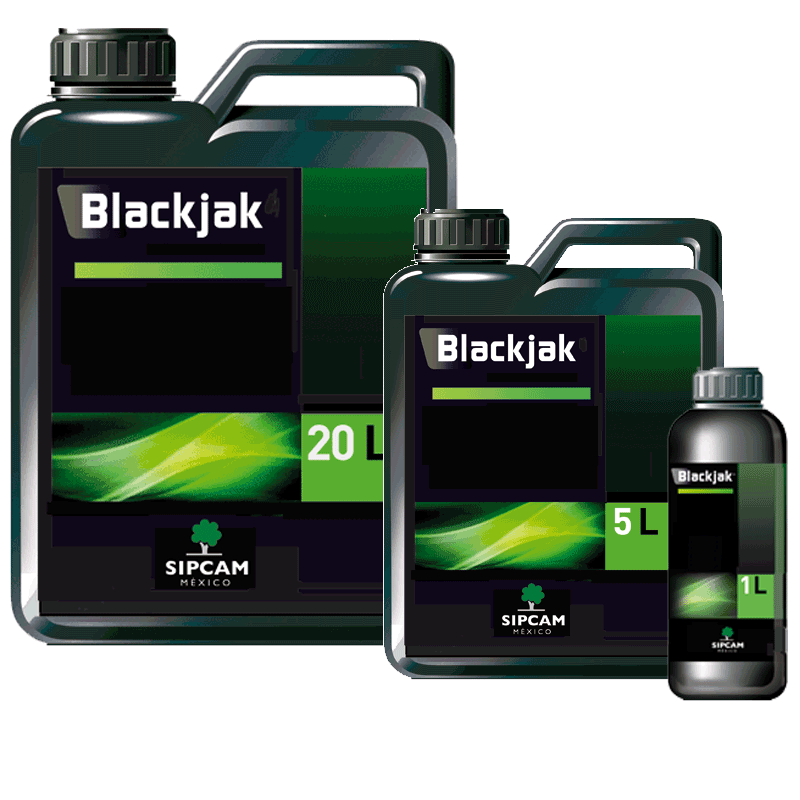 Blackjak- Sipcam MX 