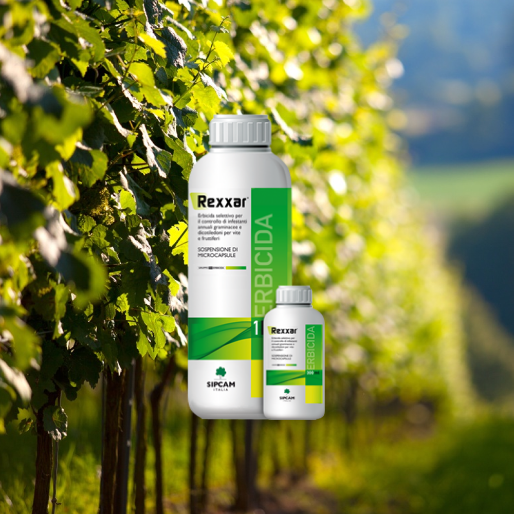 Rexxar: il diserbo autunnale di vigneti e frutteti