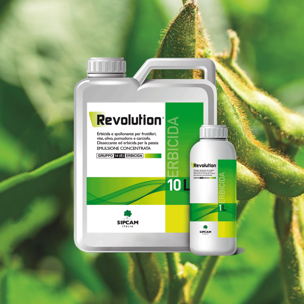 Revolution: deroga su soia come disseccante pre-raccolta