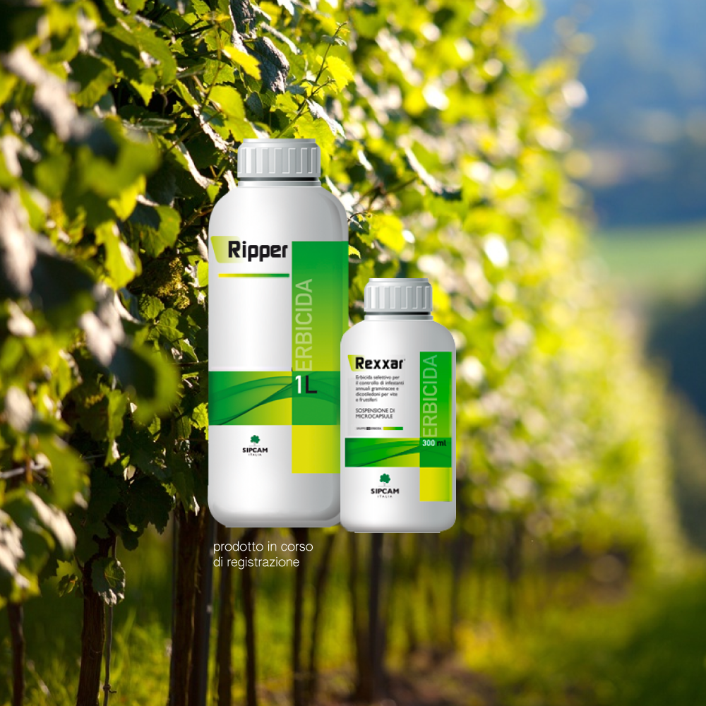 Diserbi dei vigneti: tecniche integrate anti resistenze