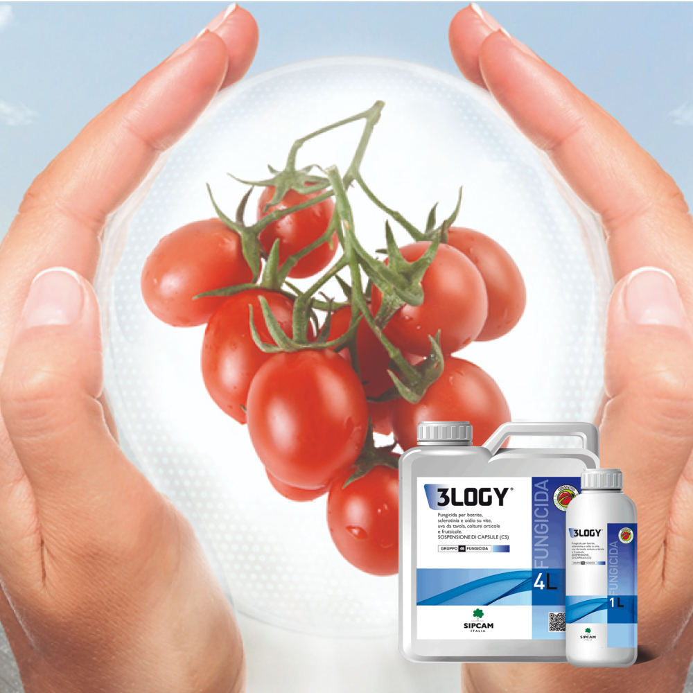 3logy: l’innovazione estende i suoi impieghi