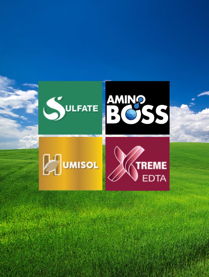 We recommend the best from our catalogue