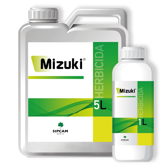 Mizuki