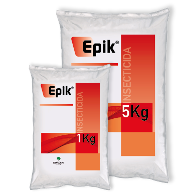 Epik