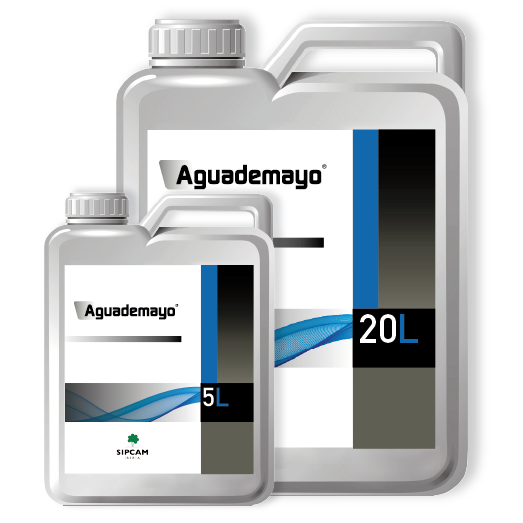 Aguademayo