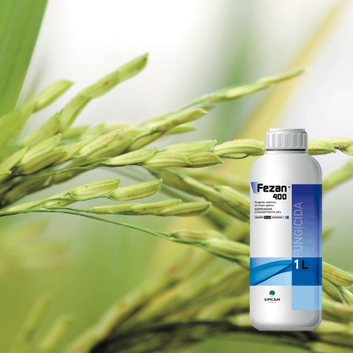 ABYSS PRO | Biostimolanti, Fisioattivatori e Microrganismi | SIPCAM