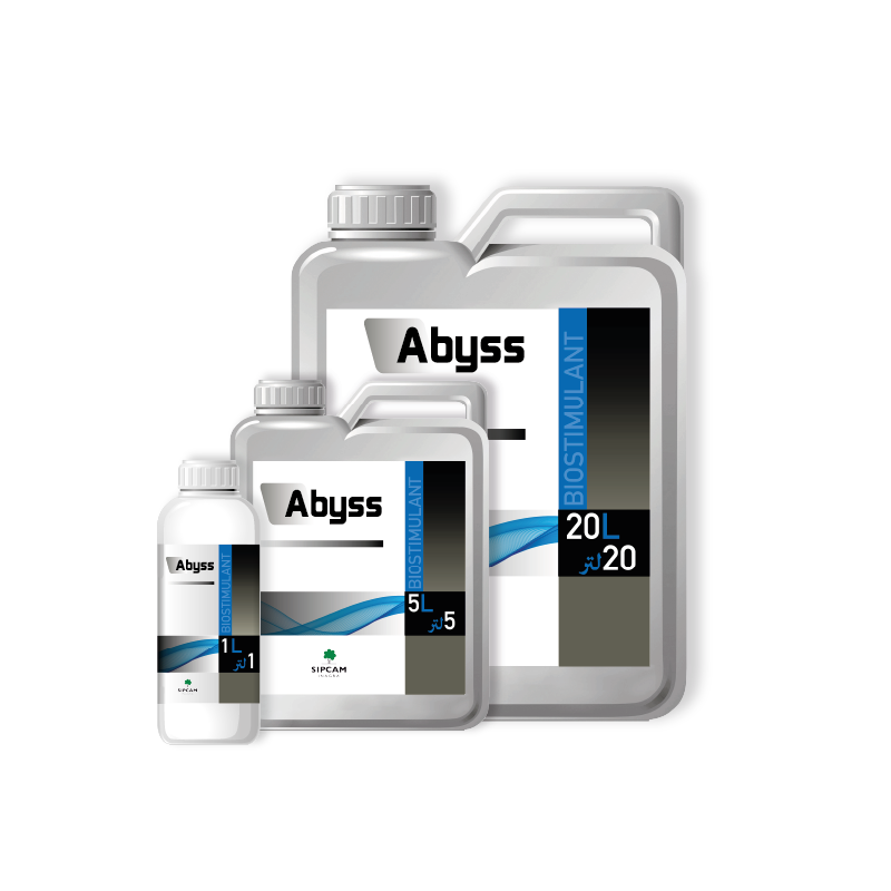 Abyss- Sipcam Algérie 