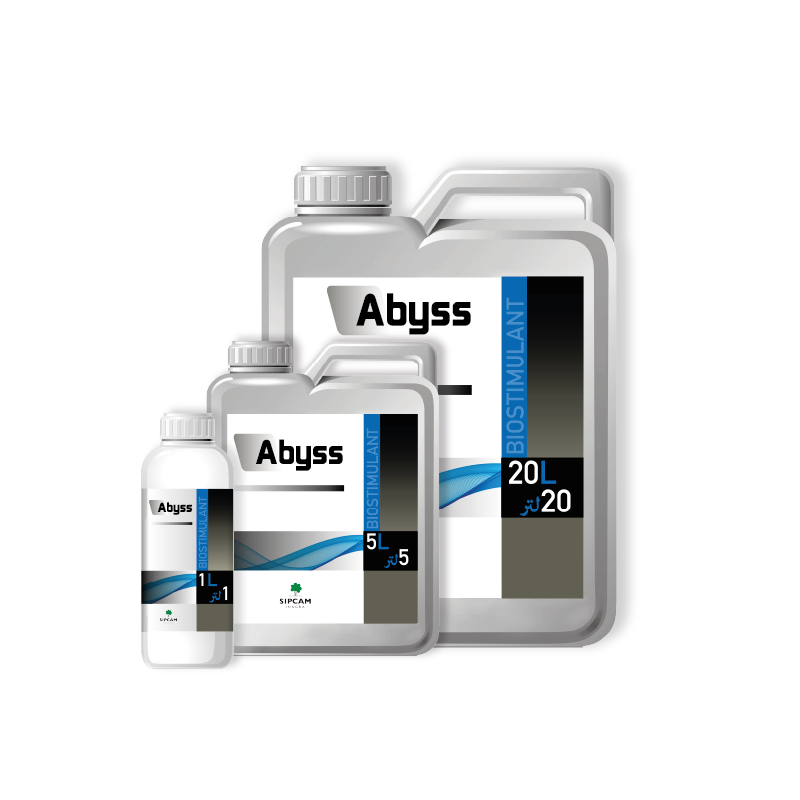 Abyss - Sipcam Algérie