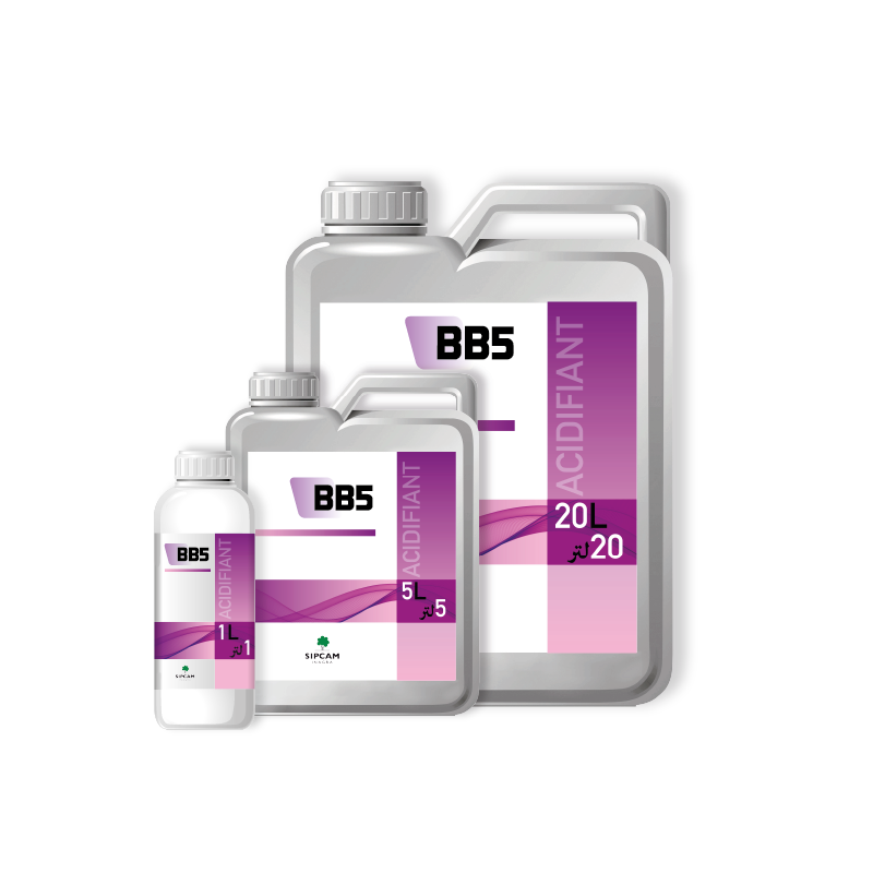 BB5- Sipcam Algérie 