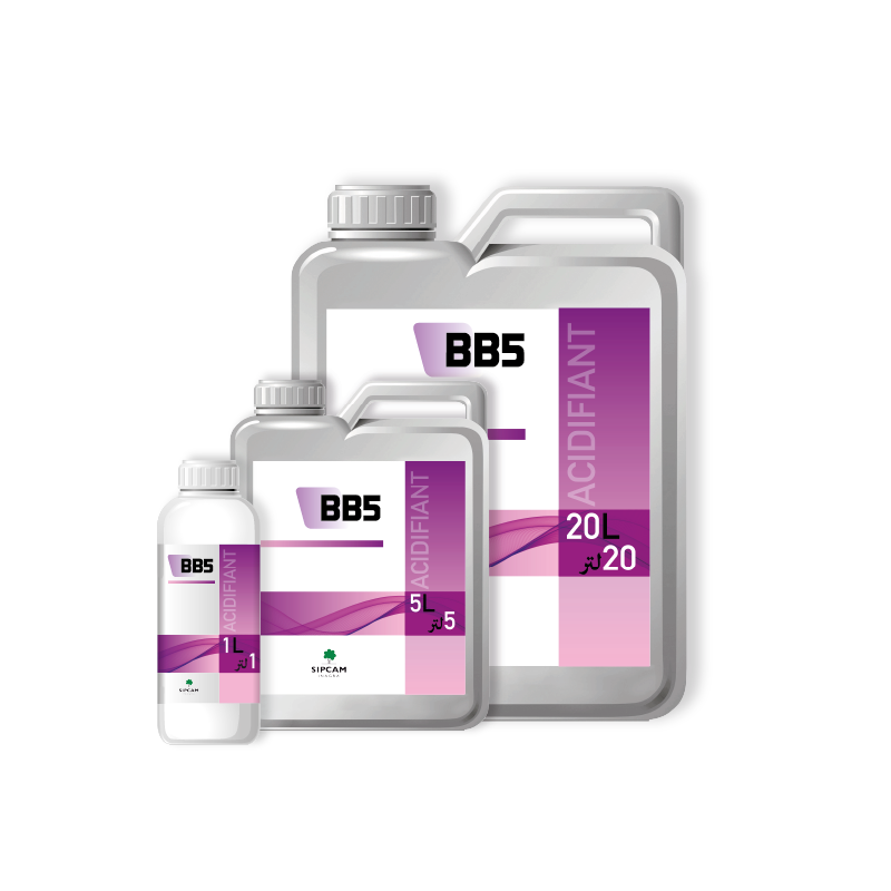 BB5 - Sipcam Algérie