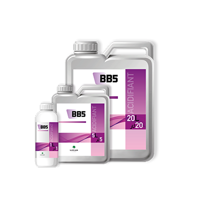 BB5
