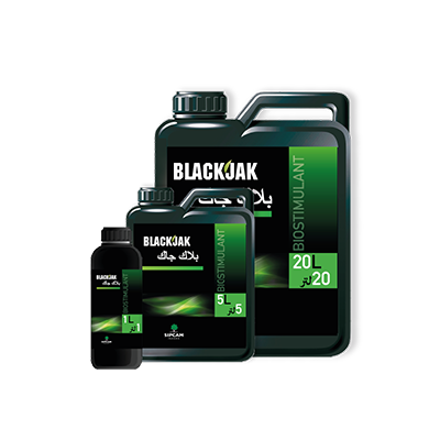 Blackjak