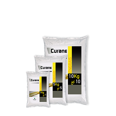 Curane - Sipcam Algérie