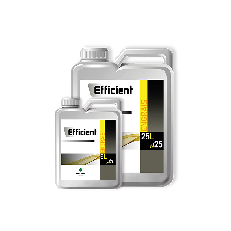 Efficient- Sipcam Algérie 