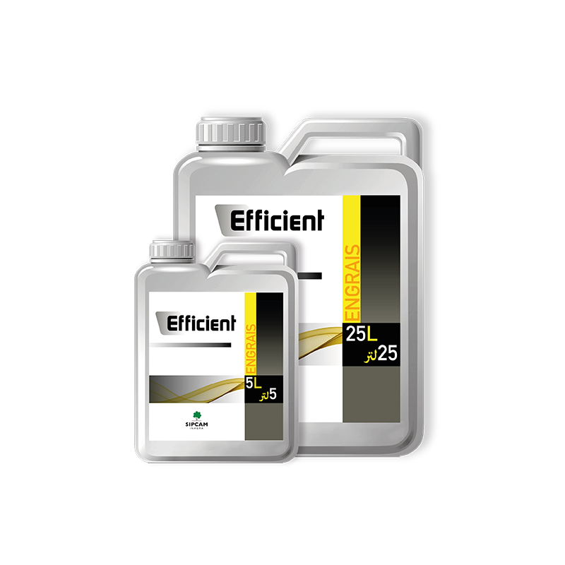 Efficient - Sipcam Algérie