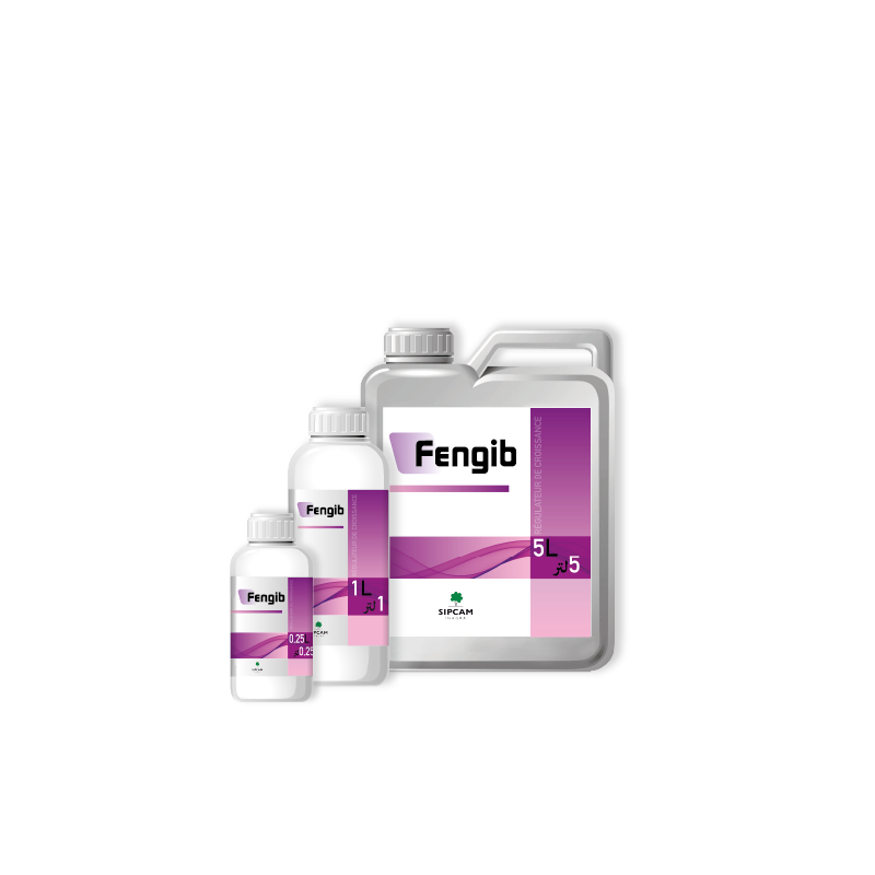 Fengib- Sipcam Algérie 