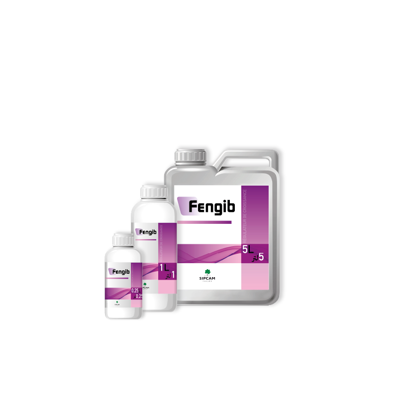 Fengib - Sipcam Algérie