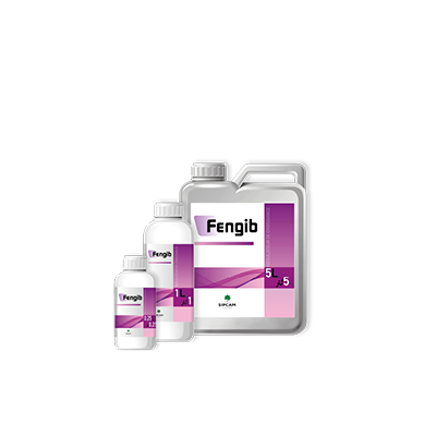 Fengib