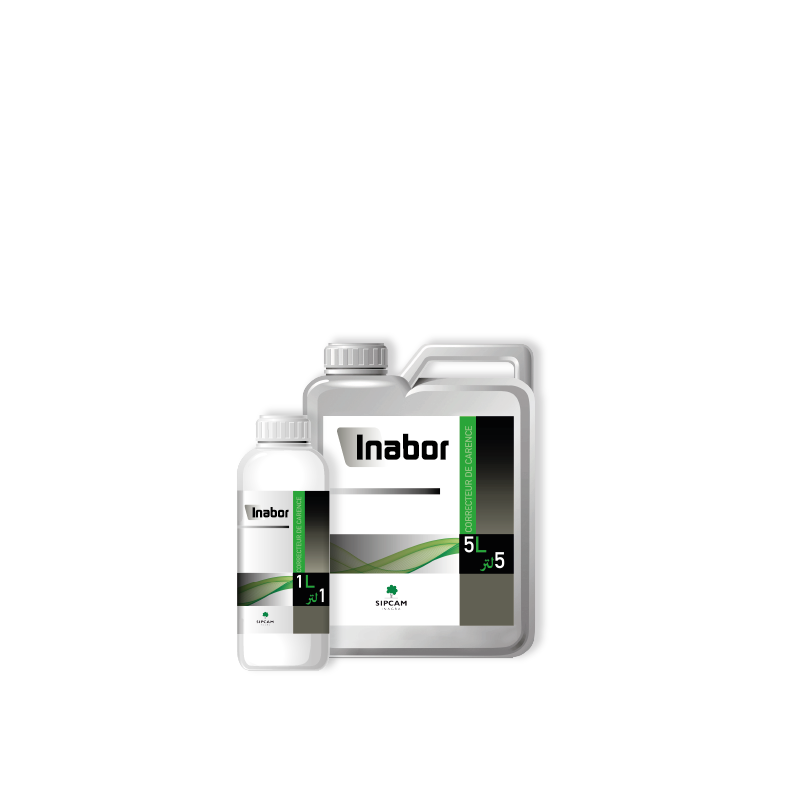 Inabor - Sipcam Algérie