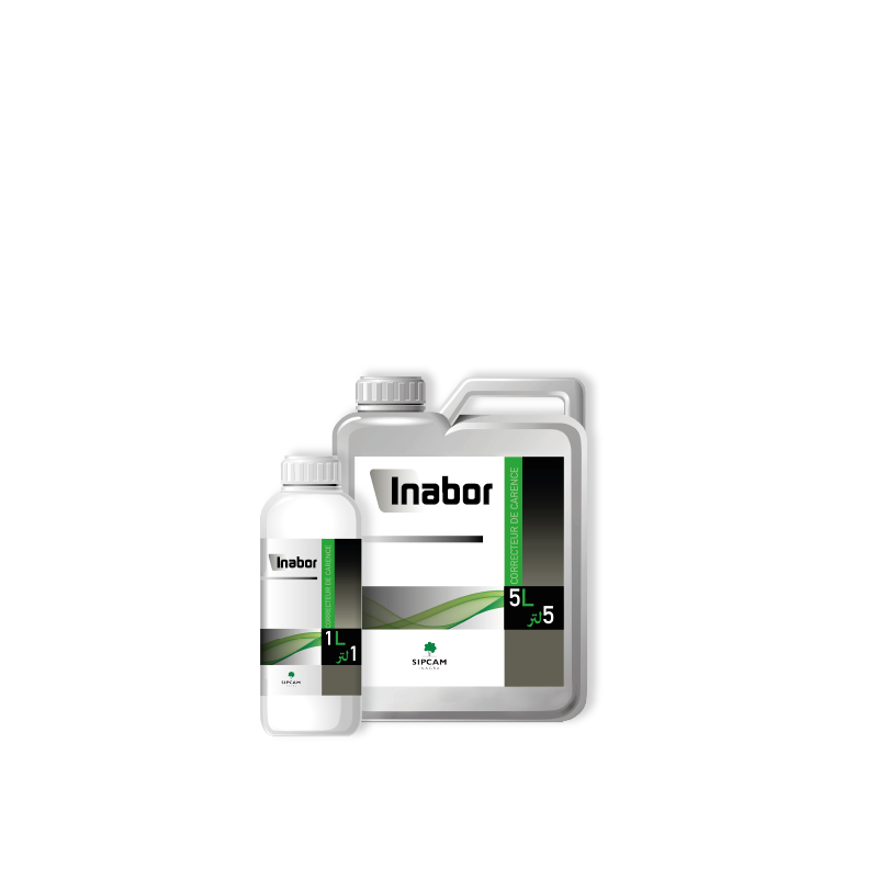 Inabor- Sipcam Algérie 