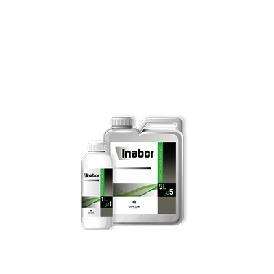 Inabor