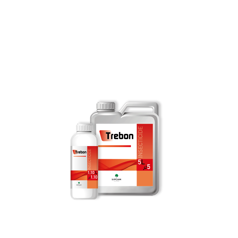 Trebon- Sipcam Algérie 