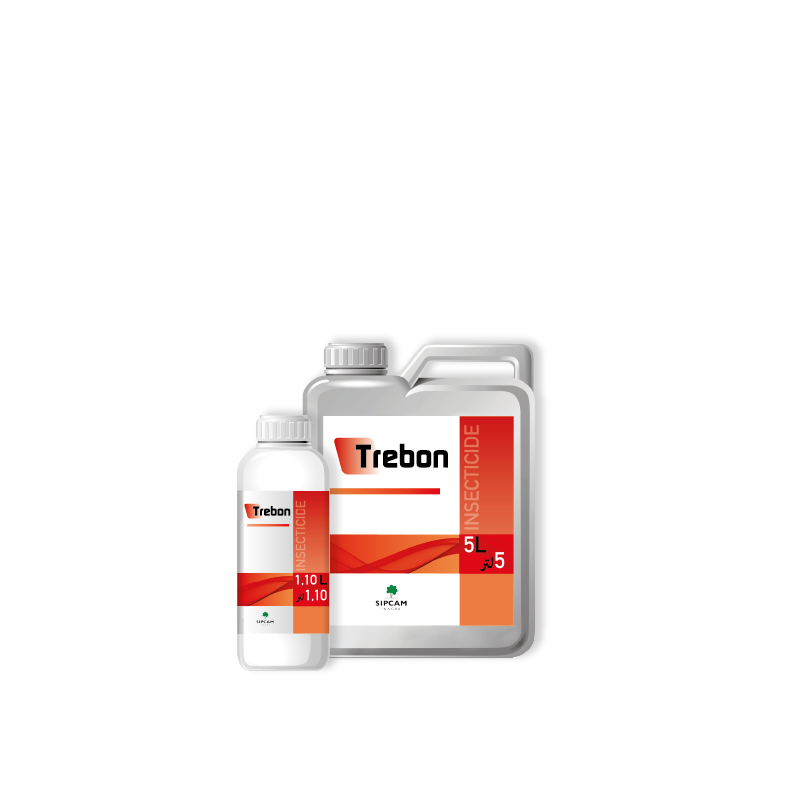 Trebon - Sipcam Algérie