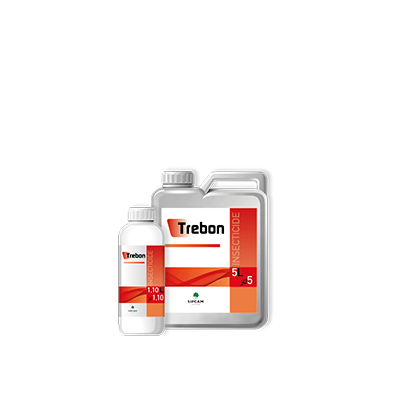 Trebon