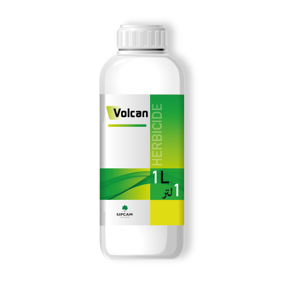 Volcan