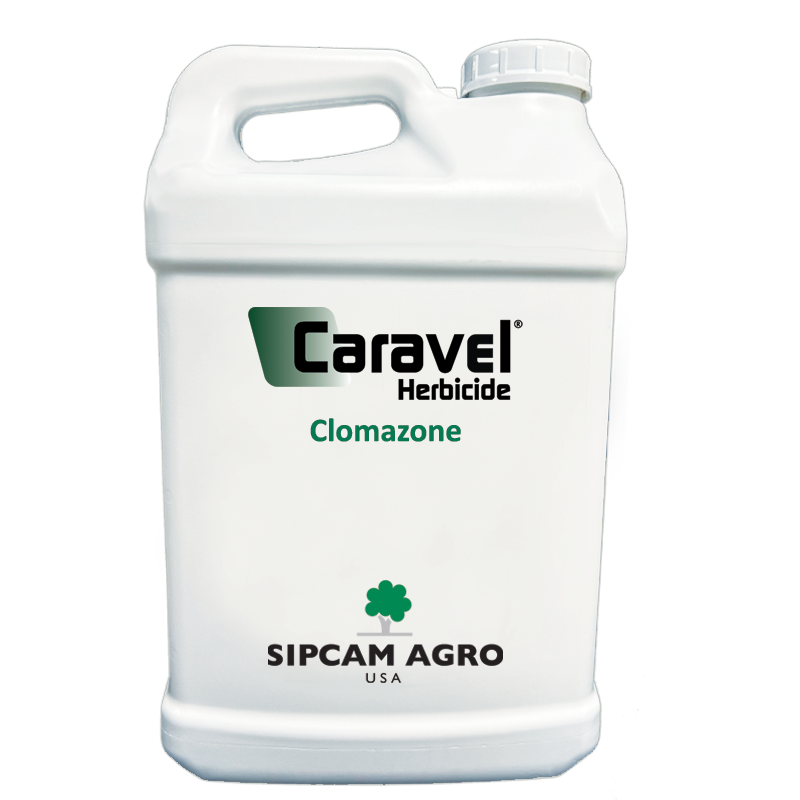 Sipcam Italia - Caravel 