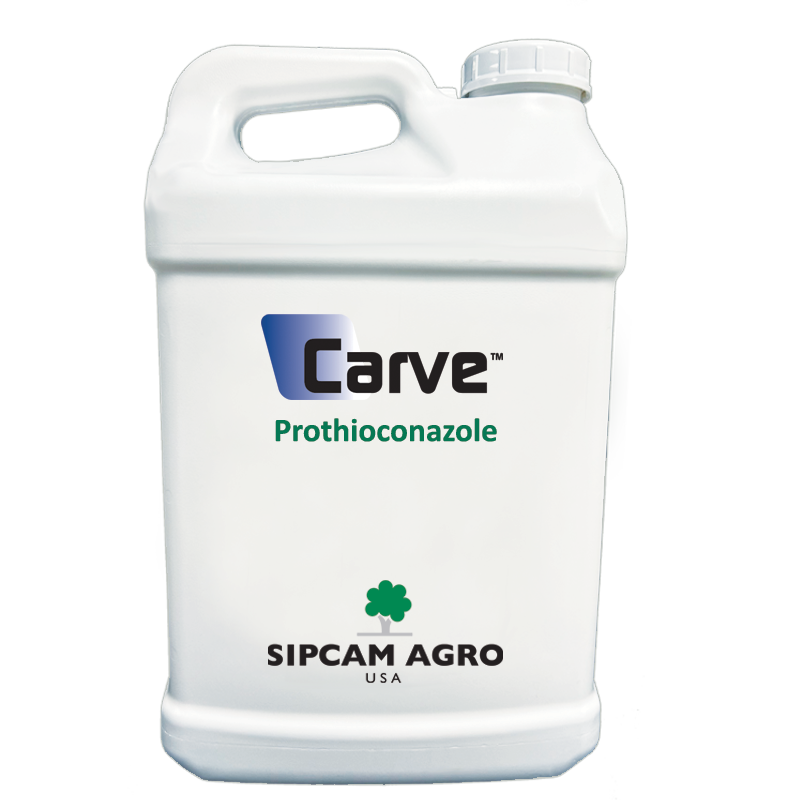 Sipcam Italia - Carve 