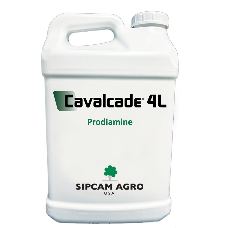 Cavalcade 4L - Sipcam USA