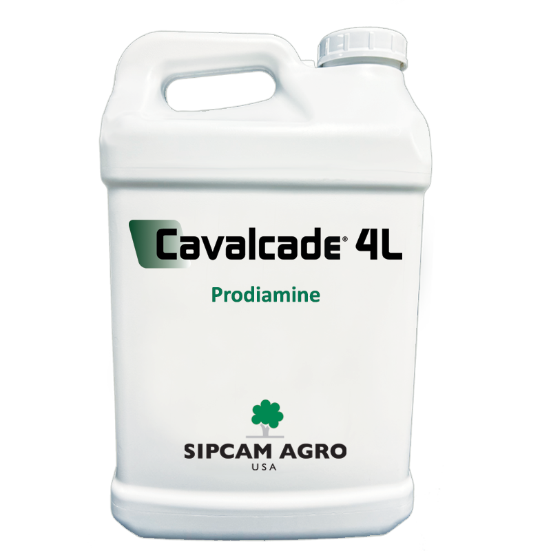 Sipcam Italia - Cavalcade 4L